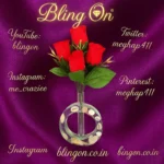 Promotional banner for Bling On with red roses in a glass circular vase on a purple satin backdrop and social links around it. - Bling On Decor® | Luxury Handmade Home Decor ANJU BALA